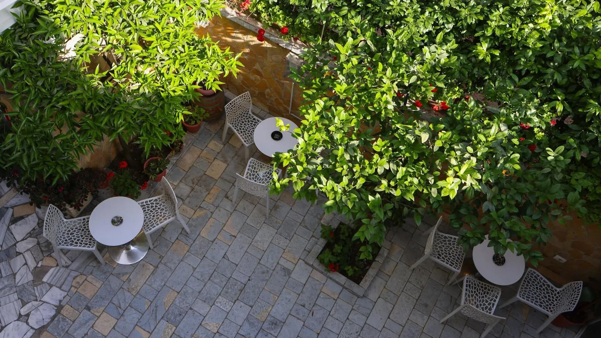 Maison d'hôtes Family Home Tirana Albanie
